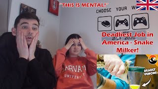 British Couple Reacts to Deadliest Job in America - Snake Milker!