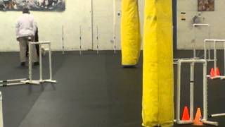 Pixie's First Agility Run - JWW 11/23/13