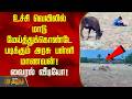 உச்சி வெயிலில் மாடு மேய்த்துக்கொண்டே படிக்கும் அரசு பள்ளி மாணவன்! வைரல் வீடியோ! | SchoolBoy