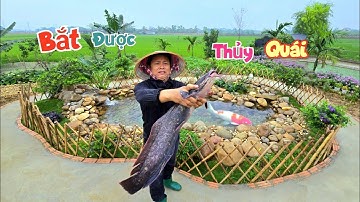 Chờ Thả Cá Koi Đi Nhấc Lờ - Bắt Được Con Thủy Quái Siêu To Khổng Lồ / Quế Nghịch