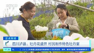[正点财经]四川泸县：牡丹花盛开 村民制作特色牡丹宴| 财经风云