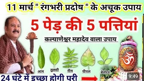 11 मार्च रंगभरी प्रदोष के उपाय | इच्छा पूर्ति के उपाय करना सभी | pradosh ke upay pradeep mishra