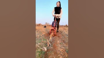 Lithium battery micro-tillage machine for corn stubble, small trenching machine, electric weeder