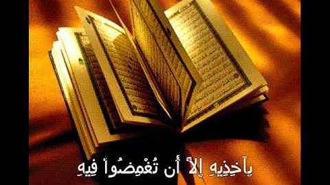 الشيخ محمد هندي : من سورة البقره