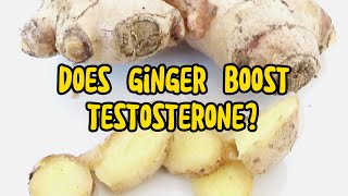 The Science Behind Gingers Effects On Testosterone