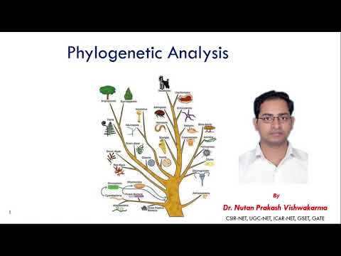 Bioinformatics : Phylogenetic Analysis - Part 1
