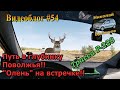 Видеоблог #54. Путь в глубинку Поволжья! "Олень" на встречке!!