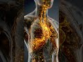 The 7AM "Power Surge" In Your Body #men #health