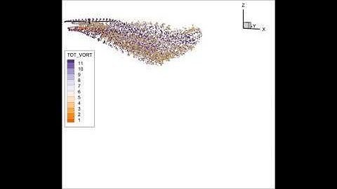 Co-axial rotor wake evolution with Viscous Vortex Particle
