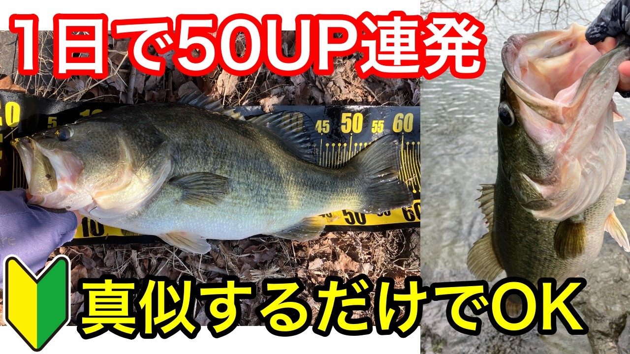 デカバスの数釣りができるルアー!【スパロFAの使い方とおすすめセッティング】