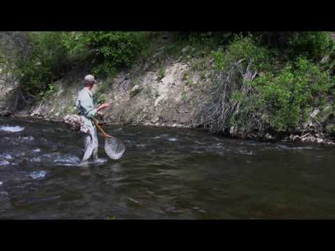 Fly Fishing Colorado Trout Creek June 2009 Part 8