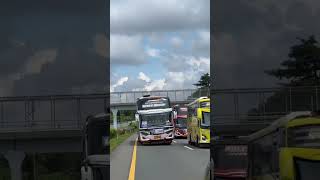 Story Wa Bus Abisatya Vibes Night