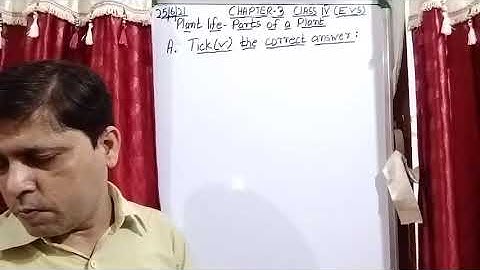 Class IV EVS 25 06 2021 by Mr Rupesh Chapter 3 Plant Life
