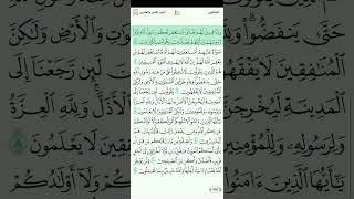 سورة المنافقون للقارئ العراقي مصطفي رعد الغزاوي 1080