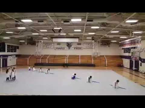 2017 Alamogordo High School Apex Winterguard