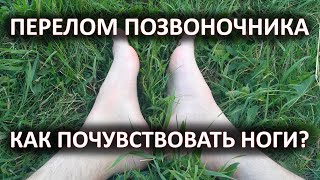 Как Почувствовать Ноги После Перелома Позвоночника