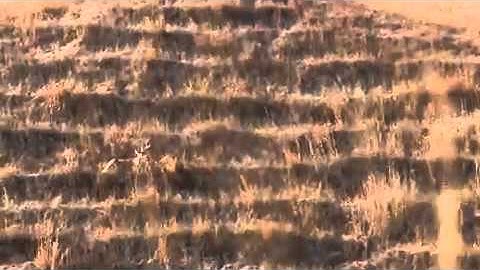 Beyond the Hunt Trailer