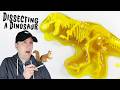 Jurassic World Mr DNA Dino Dig and Discover Tyrannosaurus Rex &amp; Triceratops Dissection Review