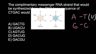 Simple genetics problem