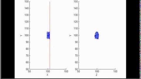 Bird Flocks Shatter on Impact