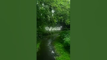 القرآن الكريم #quran #اكسبلور #المصحف #تلاوة_خاشعة #مطر #صوت_جميل #محب الشيخ محمد اللحيدان ❤️