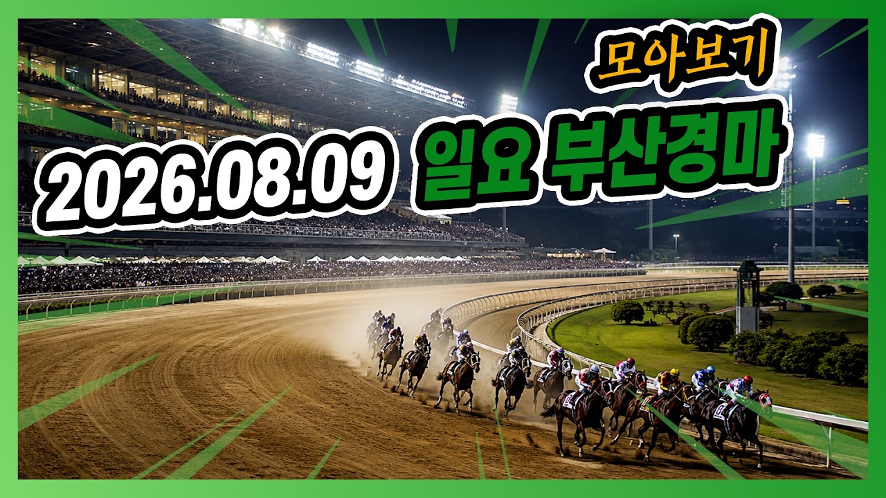 2026년 8월 9일 일요 부산경마 전체경주 모아보기