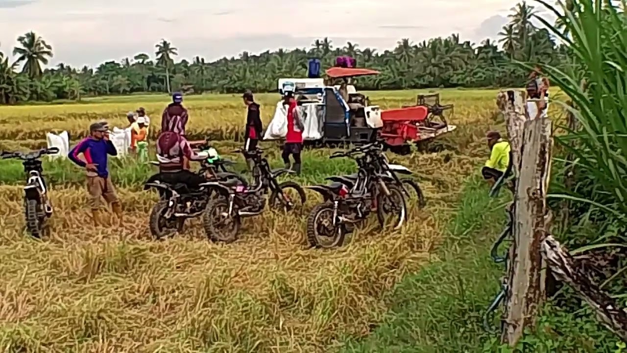 medang kering motor taksi kejar-kejaran demi mencapai target masing -masing