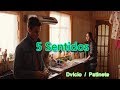 5 SENTIDOS - Dvicio / Taburete