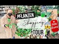 Ein Tag PFLANZEN SHOPPING! | Kommt mit ❤️ | 300 💶Euro für eine Pflanze 😱 | Raritäten gefunden!