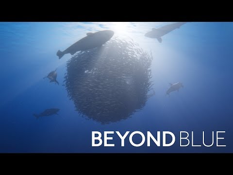 Video: Never Alone-teamet Vender Tilbage Med Blue Planet-samarbejdet Beyond Blue