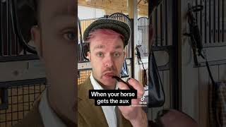 When your horse gets the aux