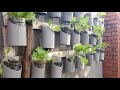 Hydroponics Farming and Automation.