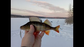 Зимняя рыбалка , окунь на самодельную блесну. Первый лед 22-23.