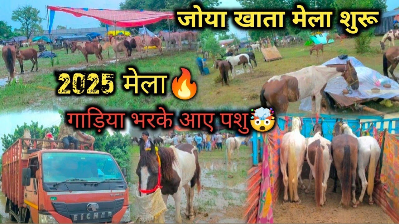 जोया खाता मेला शुरू हो गया 🔥 चार गाड़िया भरके आ गया माल 🥳 मेला 2025 !! बारिश के कारण बुरा हाल 😰