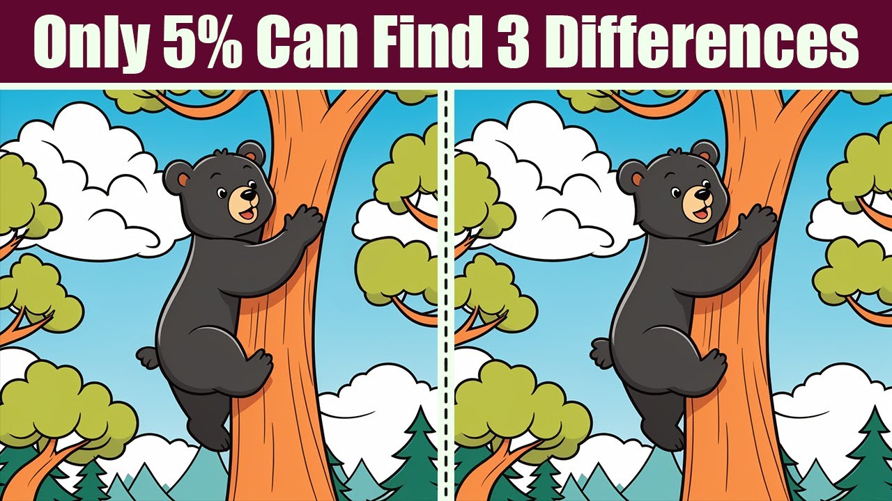 Spot The Difference : Only 5% Can Find 3 Differences | Find The ...
