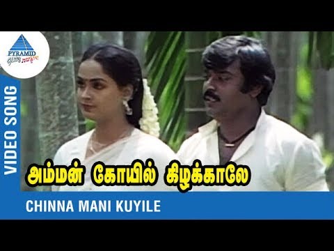 Chinnamani Kuyile Video Song  Ilaiyaraja  SPB  Vijayakanth  Radha    