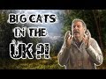 Big Cats Roaming Free in the UK?!