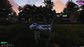 D10 CONTENT CREATOR  [LOVE FAMILY] VIBBING TRYING MAKE SOMETHING SHAKE RICK JAMES BITCH