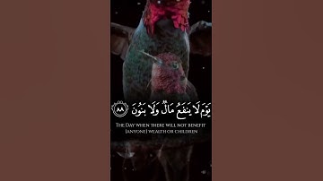 ارح_سمعك #مصحف # islam #quran# #قران #قرآن #تلاوات القرآن الكريم آيات الله # خشوع #راحة_نفسية