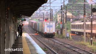 1071レ EF210-901号機牽引 向洋通過 向洋駅にて