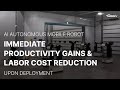 Reducing Labor Costs and Boosting Productivity with NarGo Order Picking