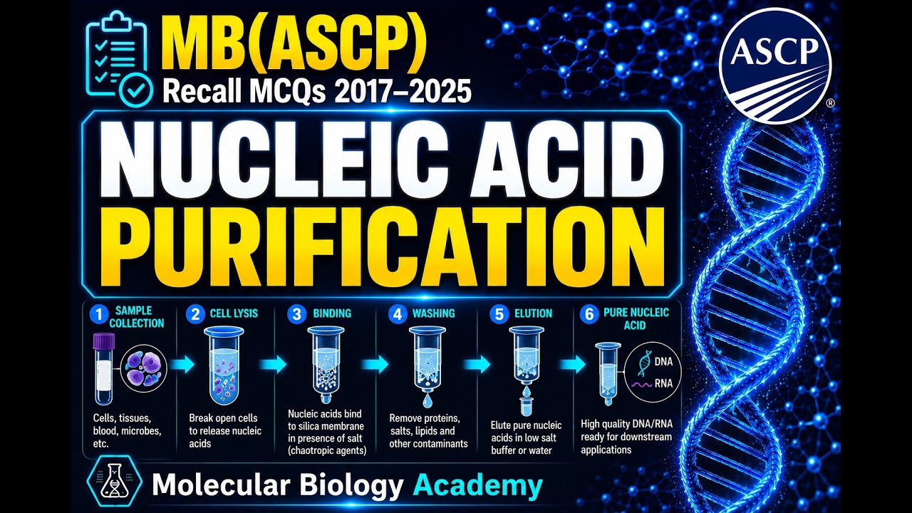 24. DNA Purification SECRETS for MB(ASCP) Success! 🧬🚀