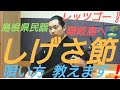 島根県 民謡「 しげさ節 」の唄い方 説明します🎤🙆  お稽古 練習 レッスン 民謡 歌い方 教える 三味線 尺八 笛 太鼓 オンライン リモート テレワーク ワークショップ 講習 講義 民謡魂