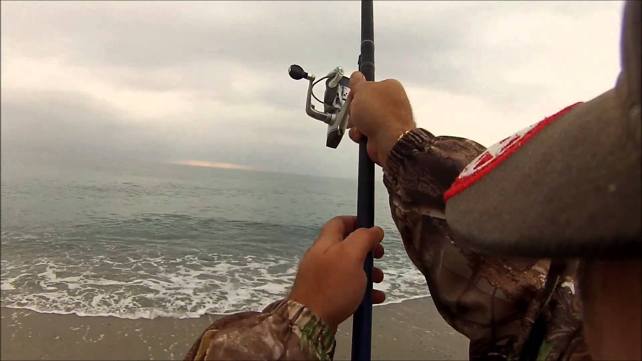 Pesca all'inglese dalla spiaggia una spigola all'avanguardia di 1,7 kg. YouTube Pesca all'inglese dalla spiaggia una spigola all'avanguardia di 1,7 kg. YouTube