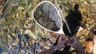 South Fork of the Snoqualmie Testing GoPro