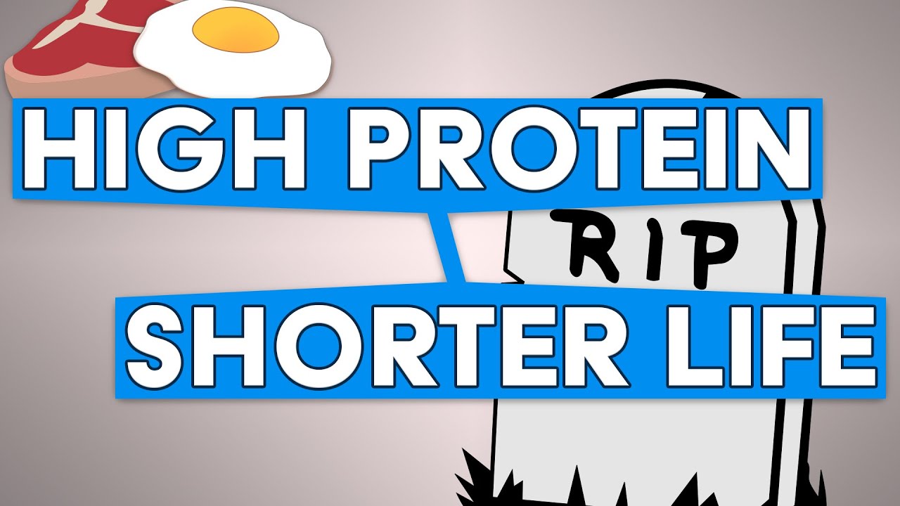 Less Protein News Live LONGER By Eating LESS Protein - YouTube