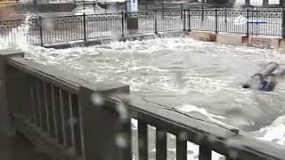 Wild Weather: Storm wreaks havoc over Bay Area