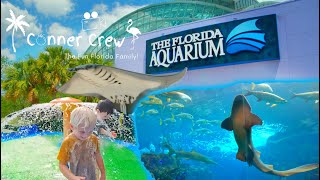 The Florida Aquarium Tampa Florida  Full Tour In 4K