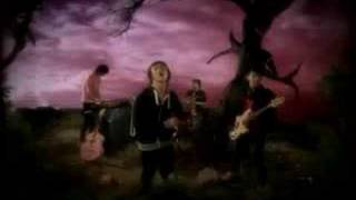 Chicosci - Last Look