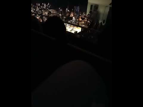 your bucket is a boat - black country new road w/ Irish national symphony orchestra